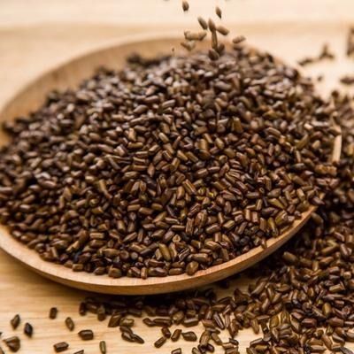 Graines de Cassia